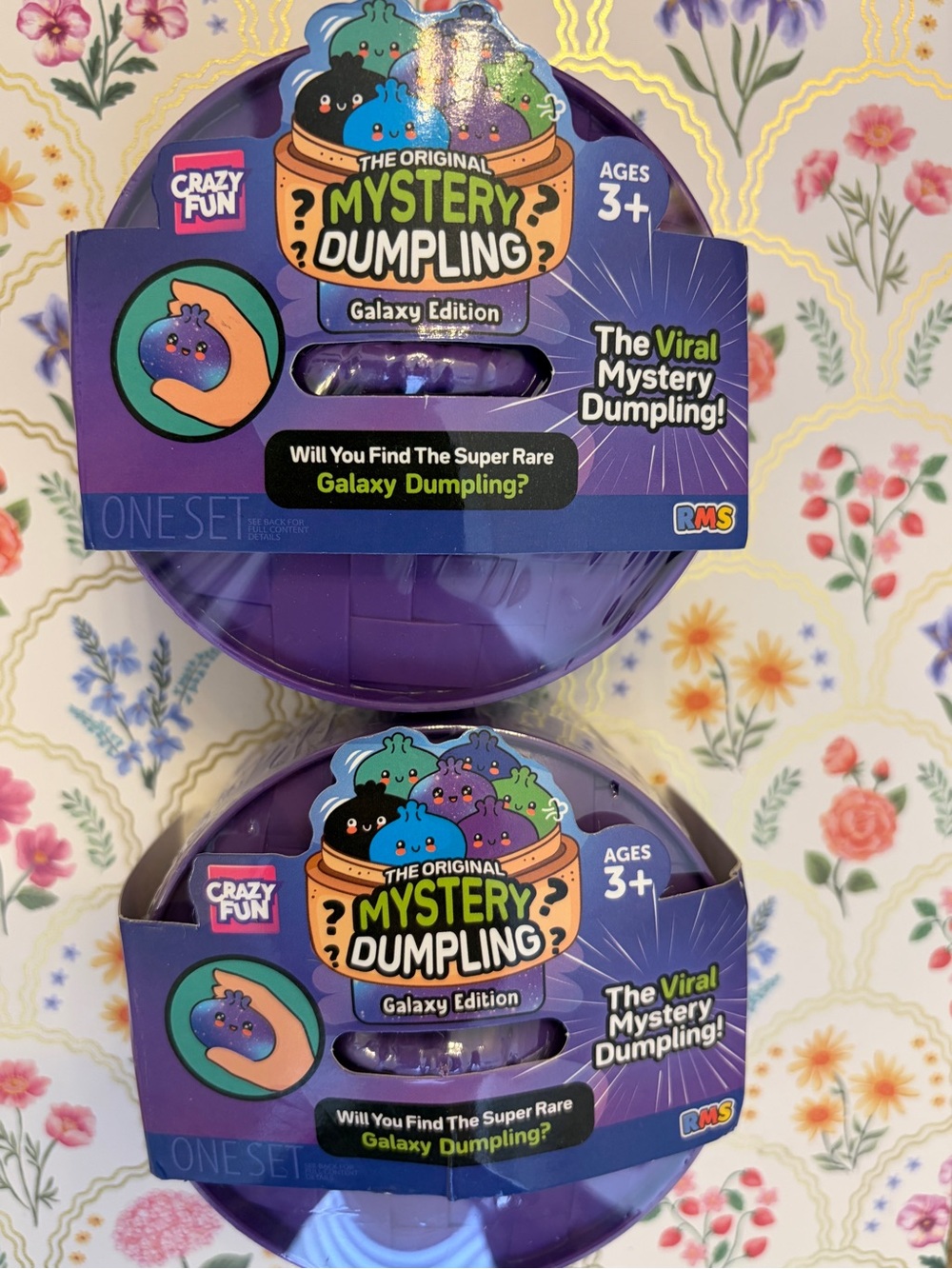 Crazy Fun RMS Mystery Dumpling Squishy. Set of Two. Galaxy Edition.